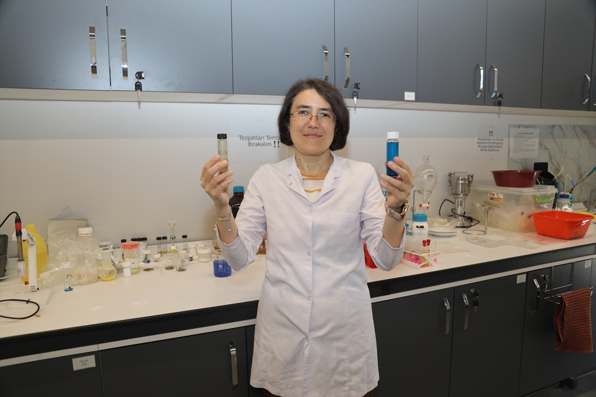 Nilüfer Çayı'ndaki tekstil kaynaklı kirliliğe organik çözüm