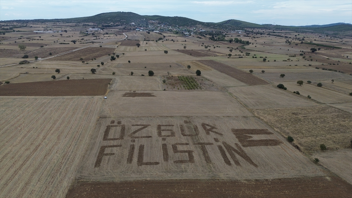 Çanakkaleli çiftçi Filistin'e destek için tarlasına traktörle "Özgür Filistin" yazdı