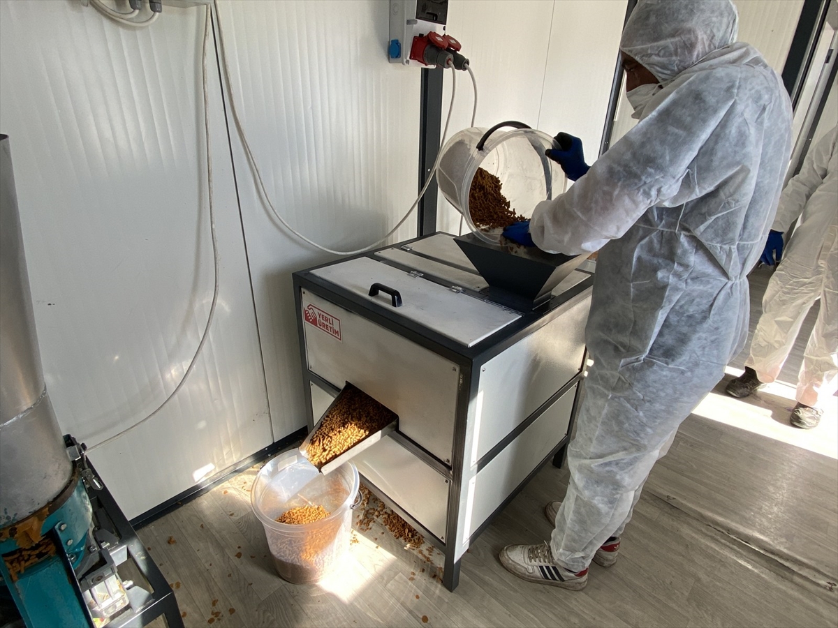 Kayseri'de yemek artıkları Melikgazi Belediyesince kedi ve köpekler için kuru mamaya dönüştürülüyor