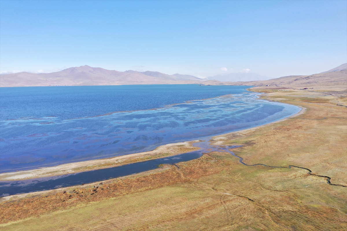 Doğa harikası Balık Gölü iklim değişikliği ve beşeri etkenle küçülüyor
