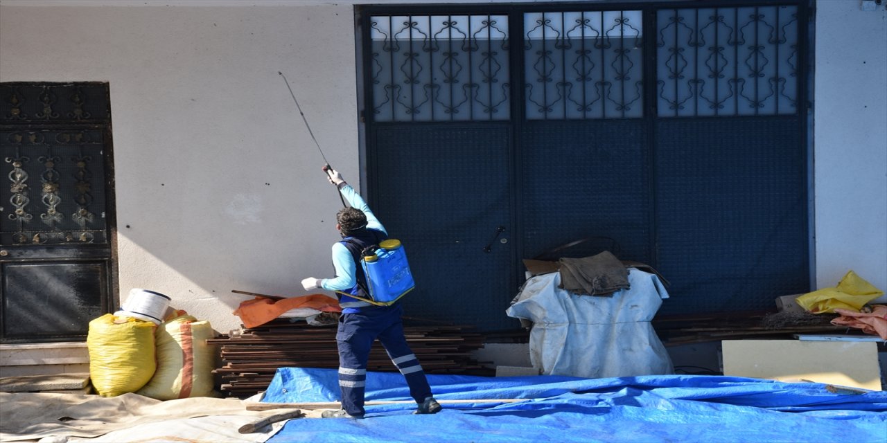 Trabzon’da kahverengi kokarcayla mücadele kapsamında bahçe ve yapılar ilaçlandı, binlerce tuzak ve eğitim faaliyeti yürütüldü.