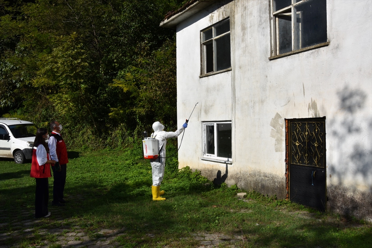 Ordu'da kahverengi kokarcayla mücadelede 20 bin tuzak, 4 bin litre ilaç dağıtıldı