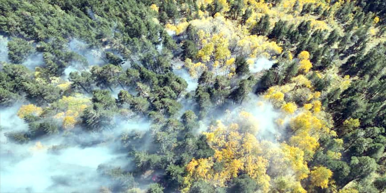 Kars Sarıkamış’ta örtü yangını çıktı