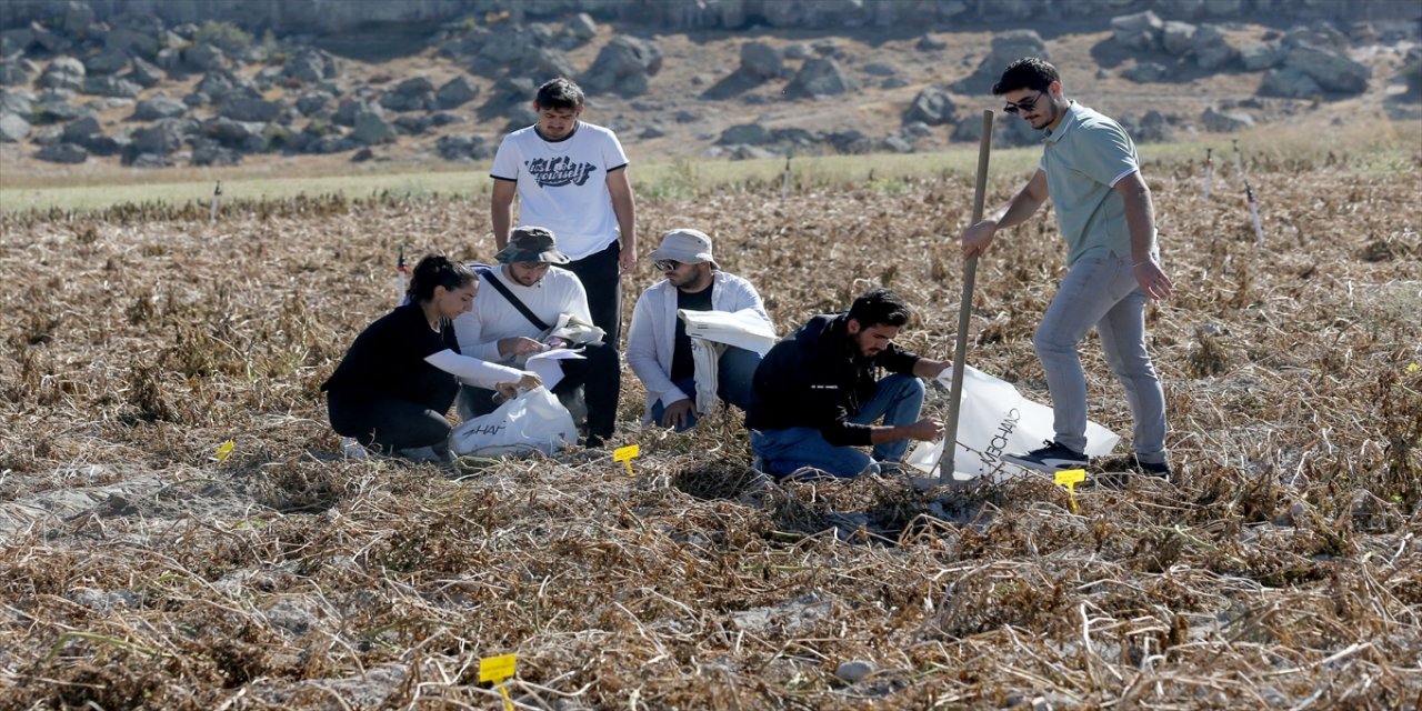 ERÜ’lü öğrenci, yerli bakteri ve borla kimyasal gübreyi azalttı: Patates üretiminde yeni dönem.
