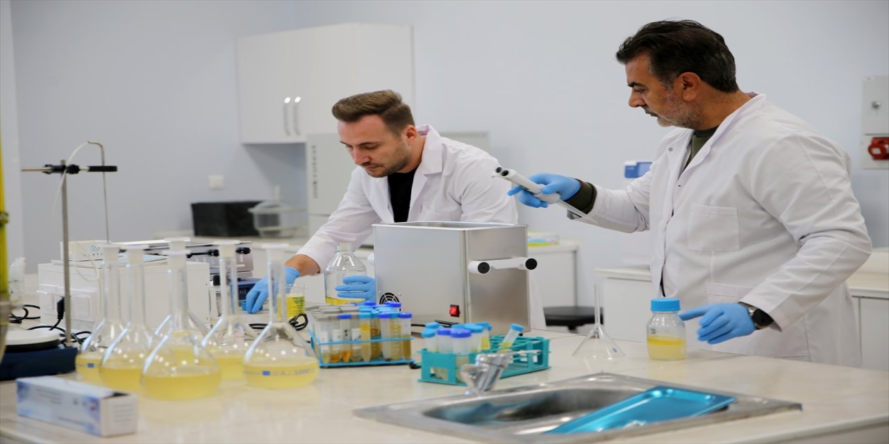 Karabük Üniversitesi, fosil dizel yakıtın biyolojik modifikasyonu ile emisyonları azaltmayı başardı