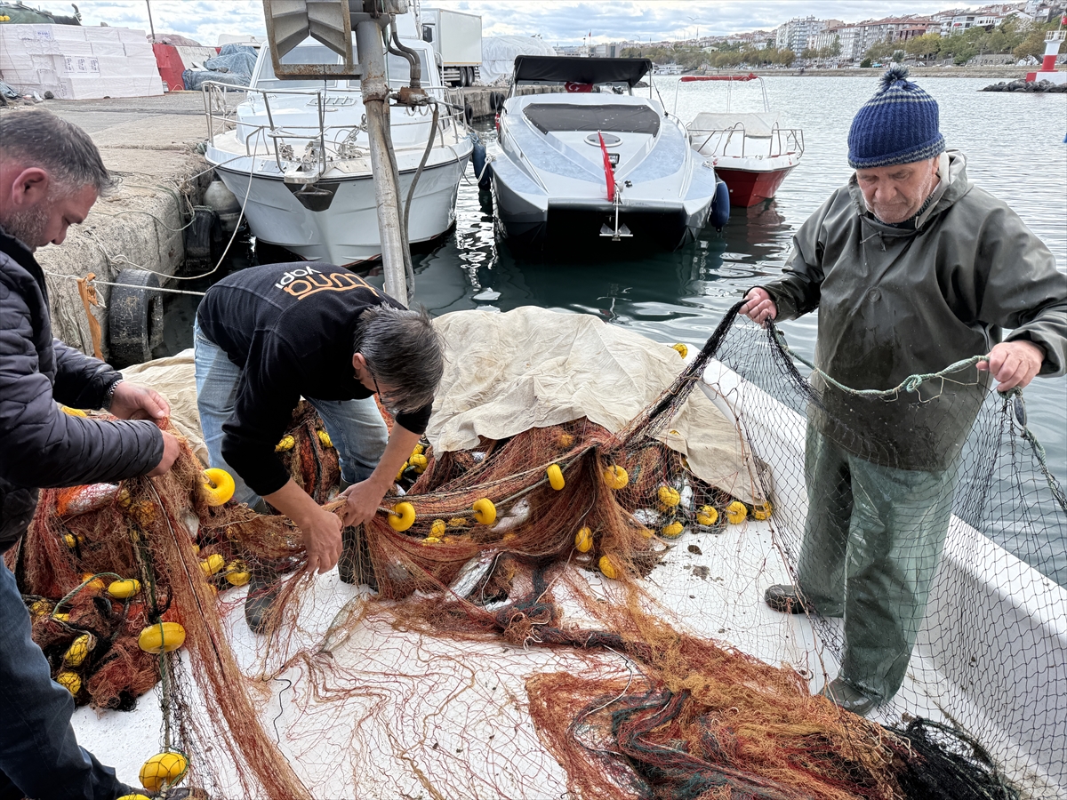 Tekirdağ'da lüfer ağlara takılmaya başladı