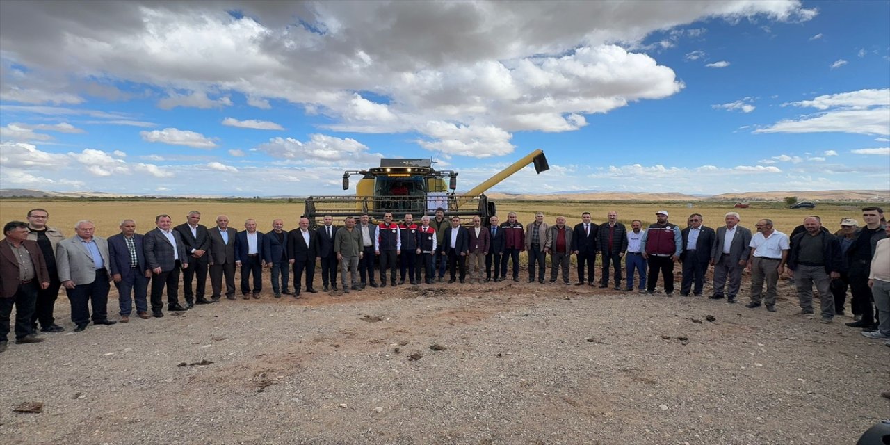 Çankırı Kızılırmak’ta törenle çeltik hasadı: 25 bin ton ürün hedefleniyor, yerli tohumla kalite artırıldı