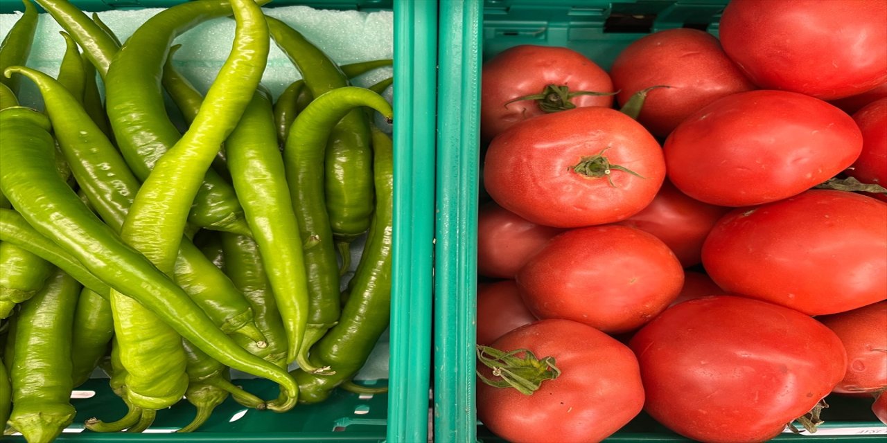 BAİB, Türkiye biber ihracatının yüzde 71’ini karşılayarak sektörde lider konumunu sürdürdü