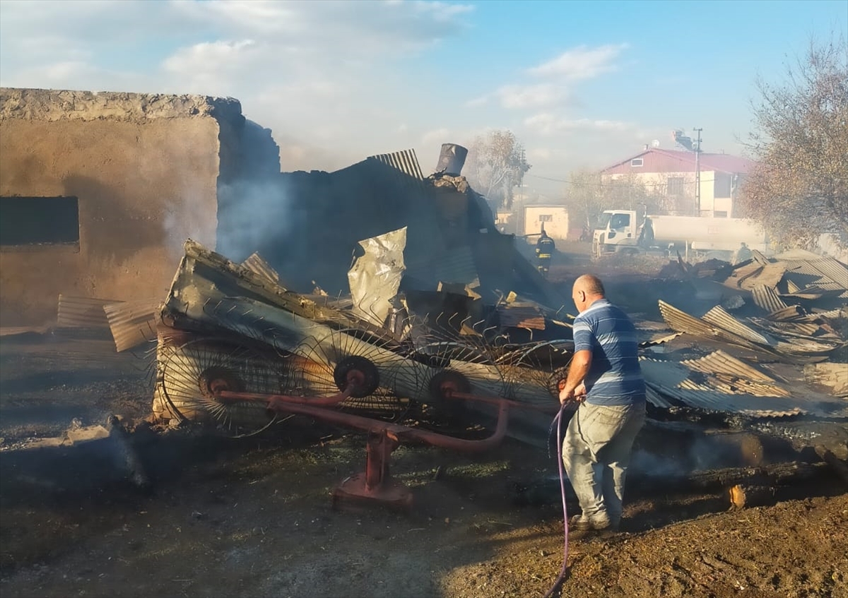 Ardahan'da ahırda çıkan yangında 23 hayvan telef oldu