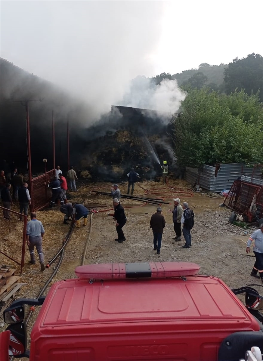 Bursa'da ahırda çıkan yangında 170 küçükbaş hayvan telef oldu