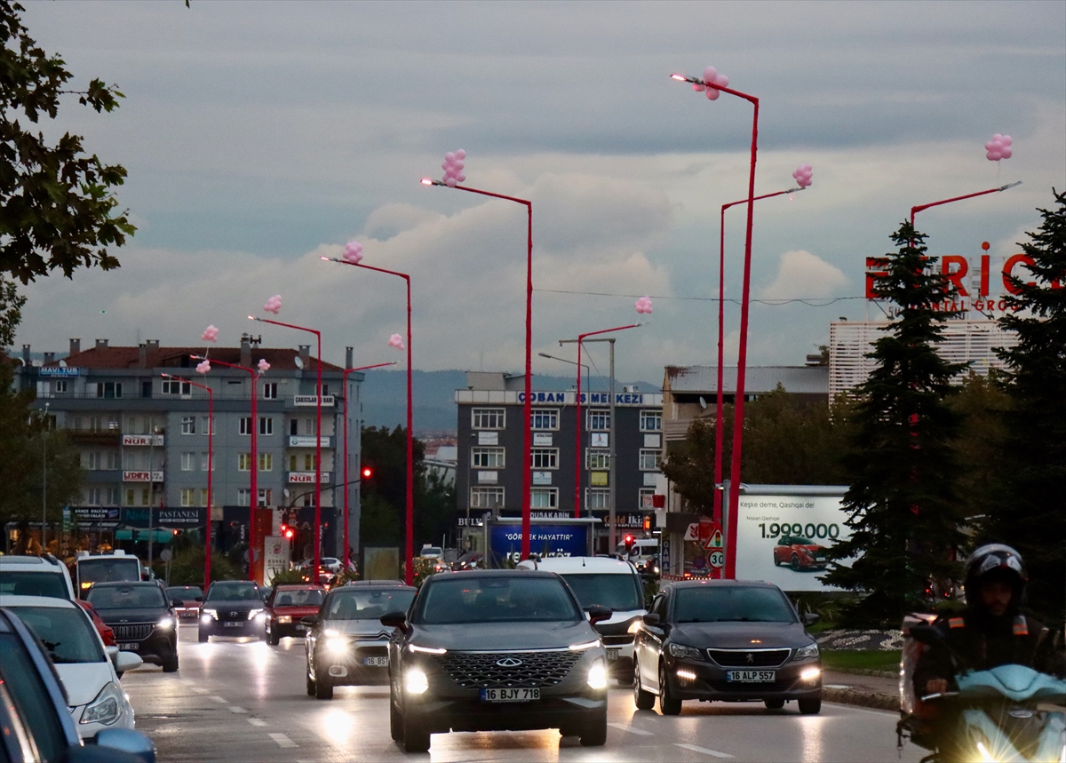 Bursa'da meme kanserinde erken teşhis farkındalığı için sokak lambaları pembe yandı