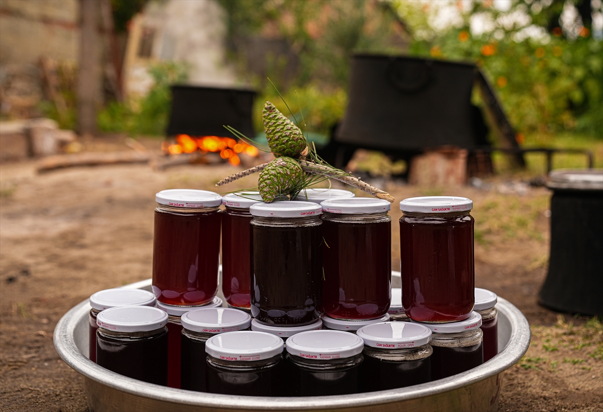 Kozak Yaylası'nda kadınlar çam kozalağı pekmezini imece usulü hazırlıyor