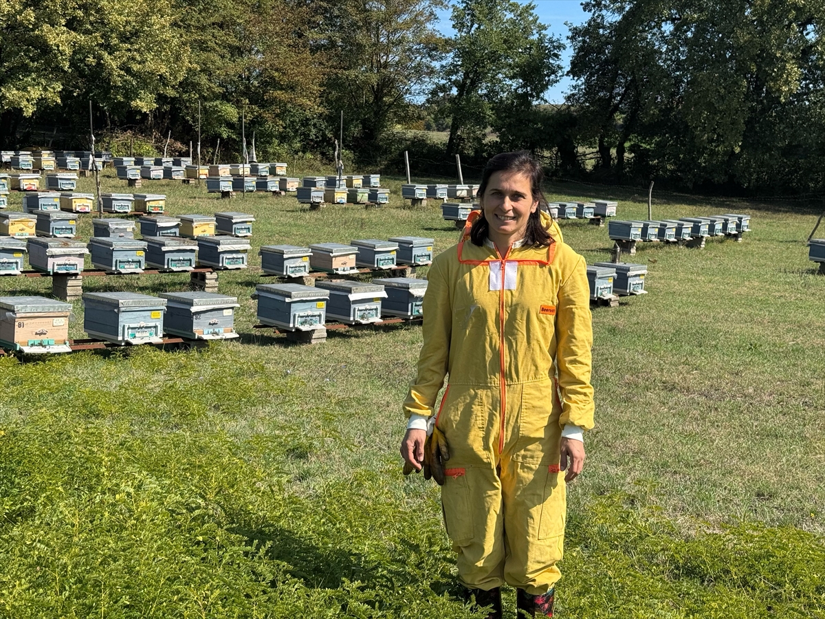 Bartın'da devlet desteğiyle başladığı arıcılıkta 3 yılda 200 kovana ulaştı
