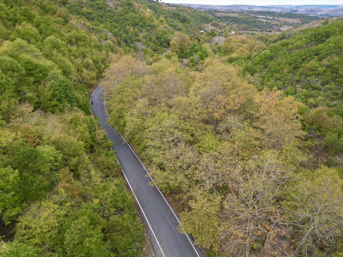Ganos Dağı eteklerindeki ormanlar sonbahar renklerine bürünmeye başladı
