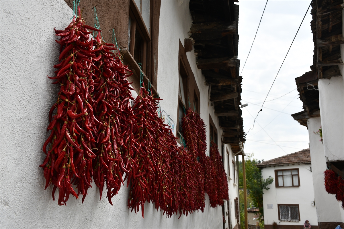 Bilecik'in tescilli "Çukurören biberi"nin üretim alanı kuraklık nedeniyle azaldı