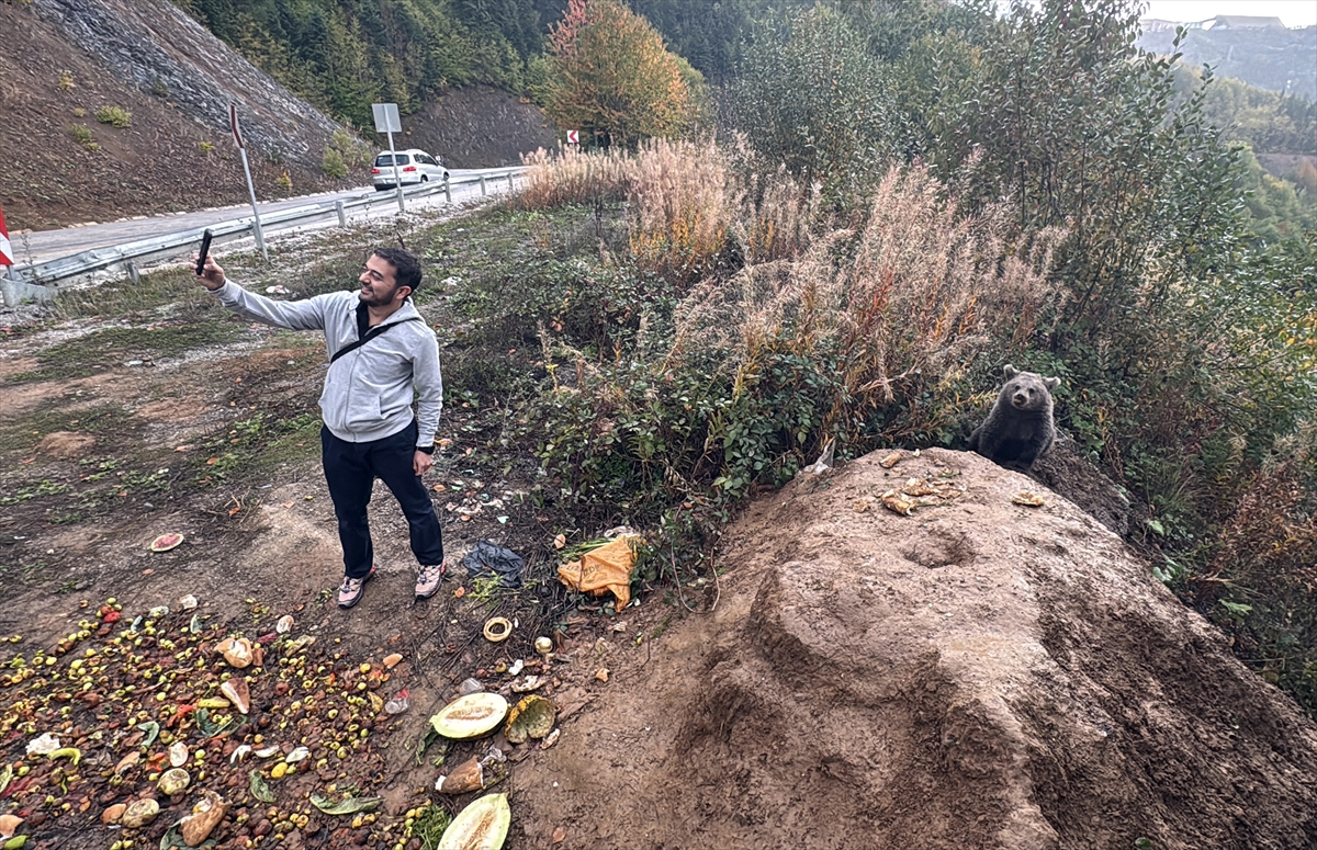 Ayı yavrularıyla özçekim