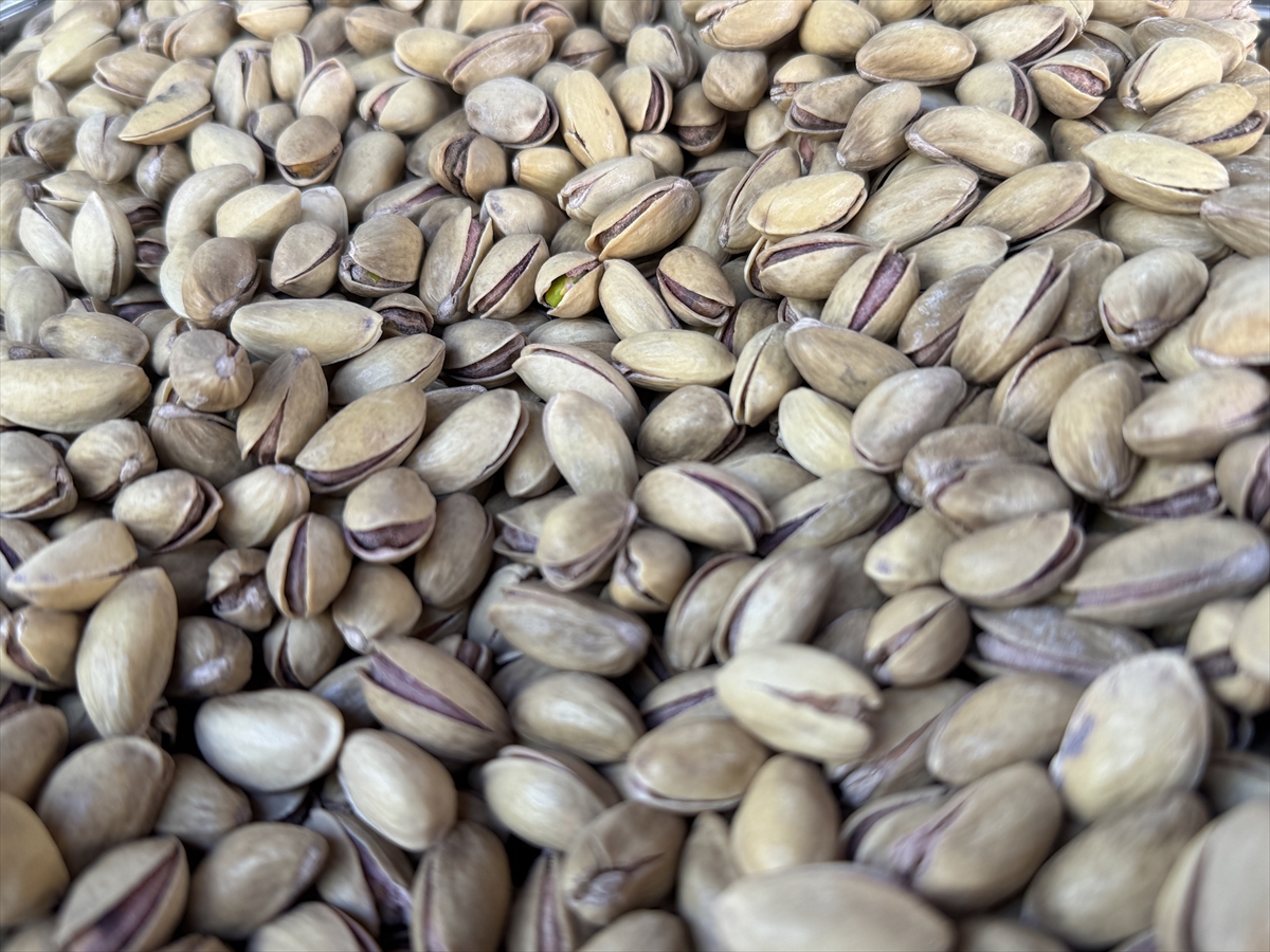 9 aylık fıstık ihracatımız 152 milyon 622 bin dolar oldu