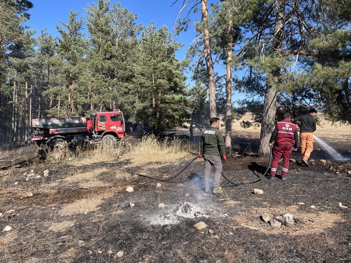 Sarıkamış'ta çıkan orman yangınında yaklaşık 1 hektar alan zarar gördü