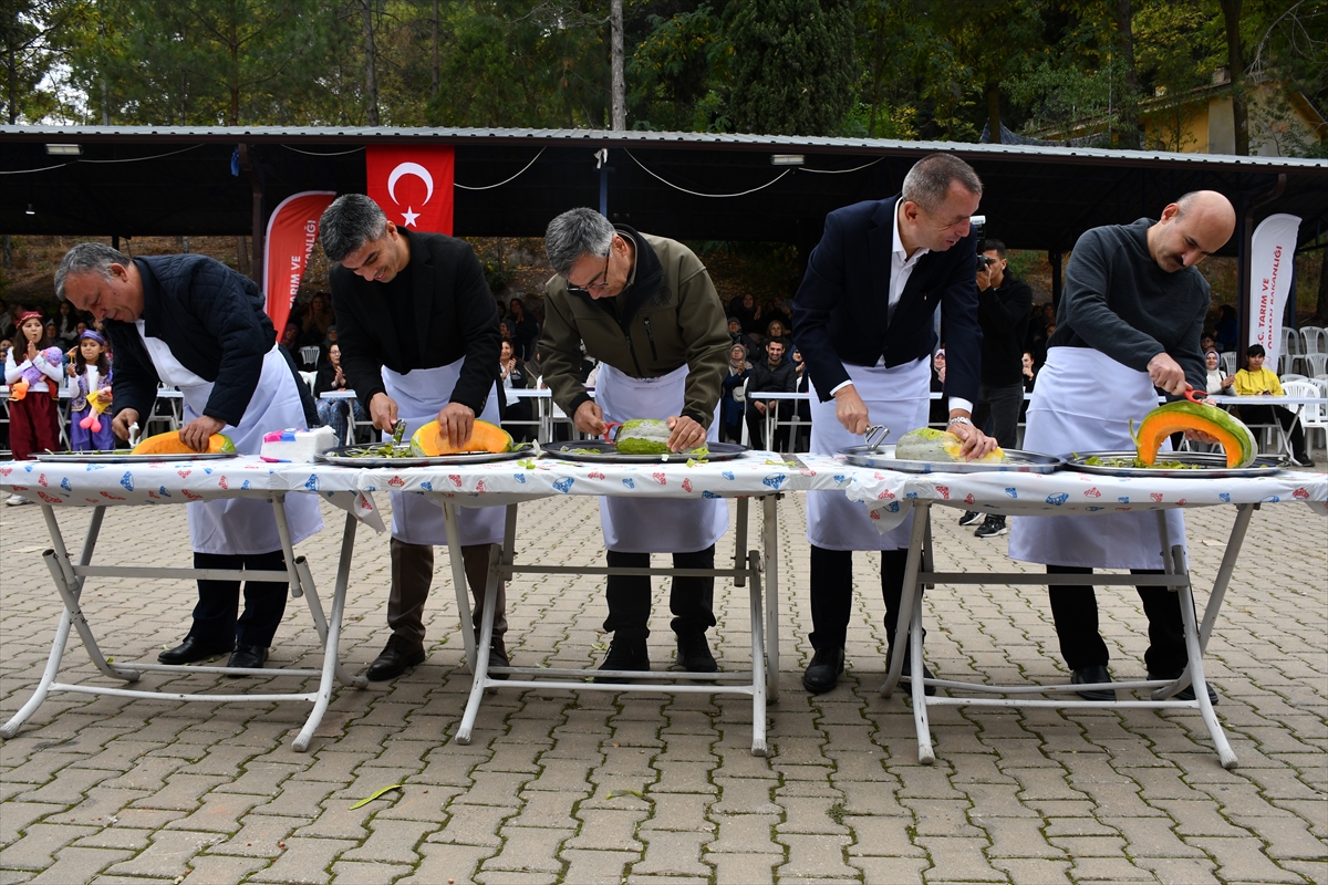 Bilecik'te Kızıldamlar Kestane Kabağı Festivali yapıldı