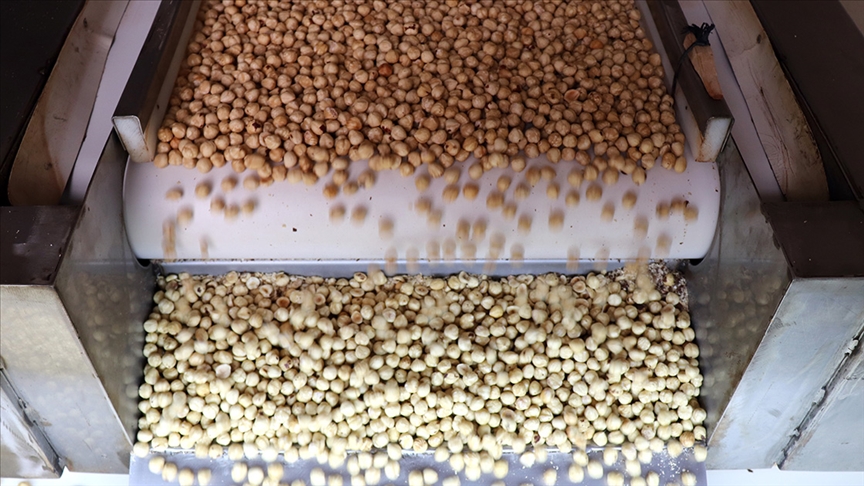 Tındık ihracatından 9 ayda 1,6 milyar doları aşkın gelir sağlandı