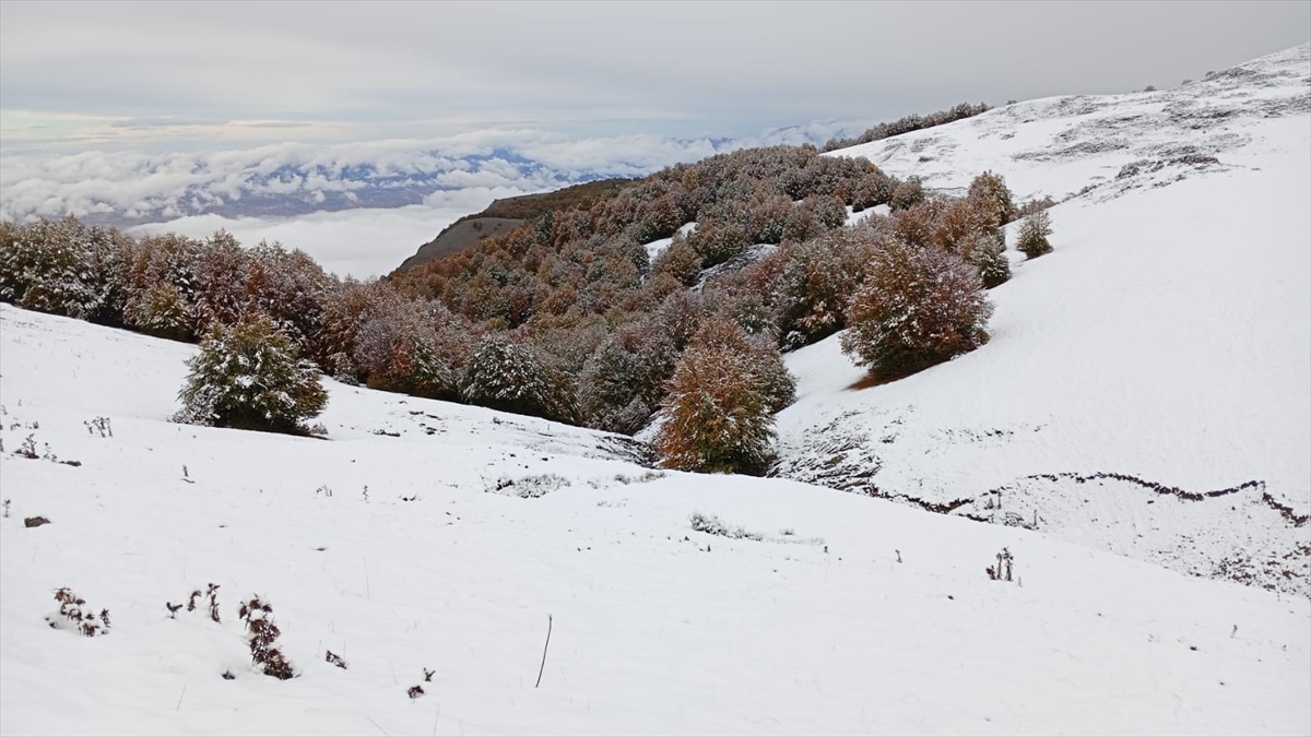 Amasya'nın yüksek kesimlerine kar yağdı