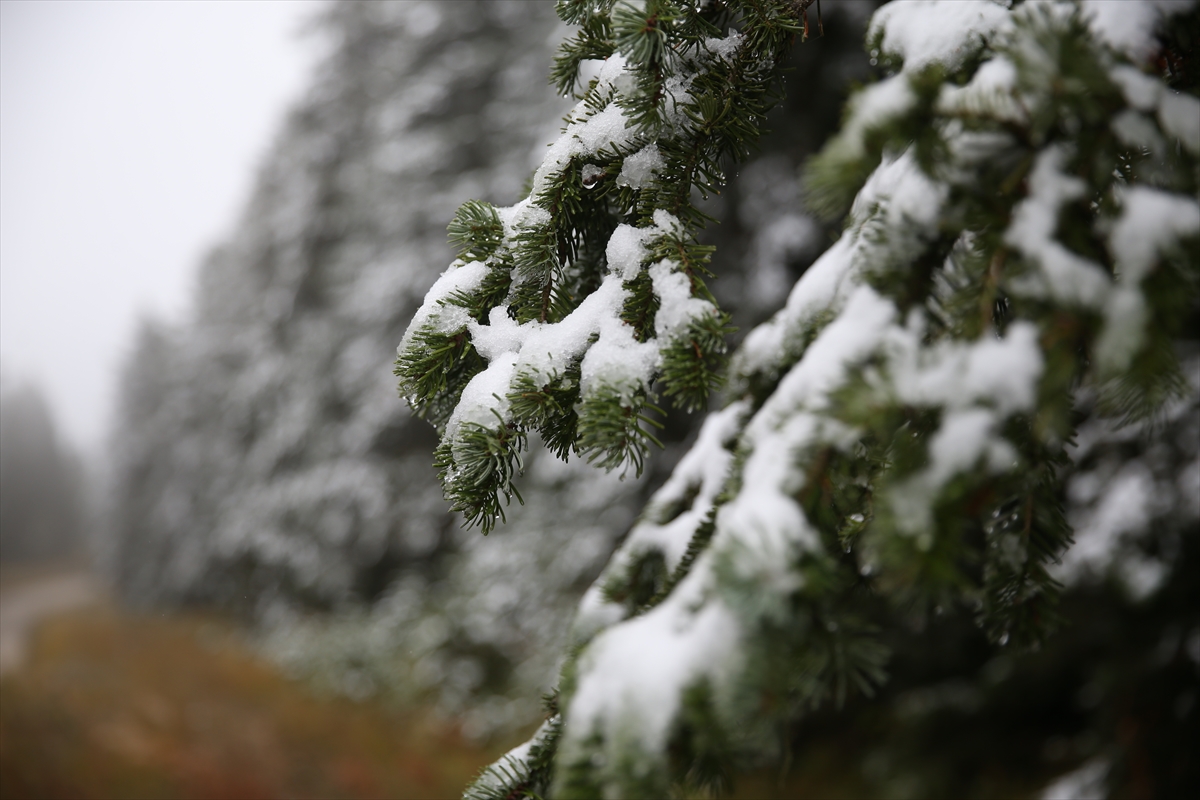 Ilgaz Dağı'nda kar ve sis etkili oldu