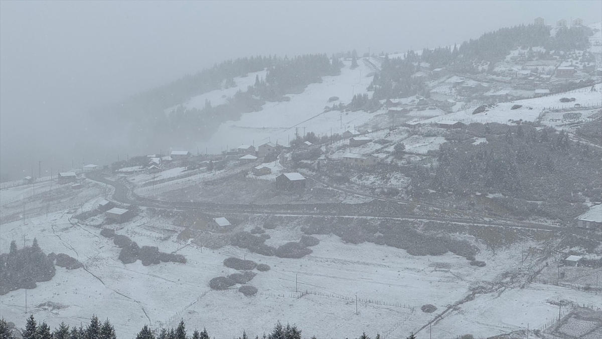 Gümüşhane, Giresun ve Ordu'nun yüksek kesimleri beyaza büründü