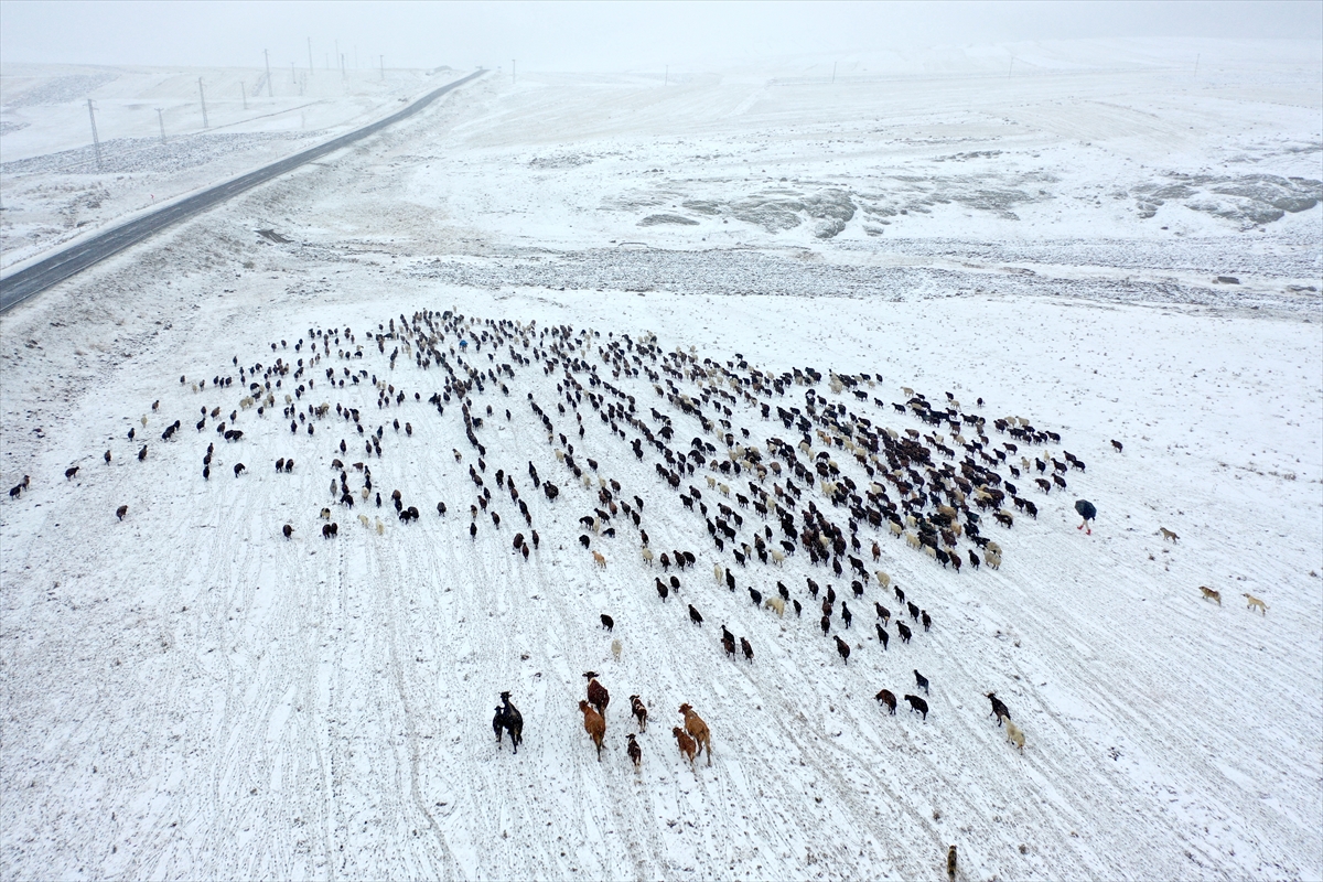 Kars'ta yayladan dönen göçerler kar yağışına yakalandı