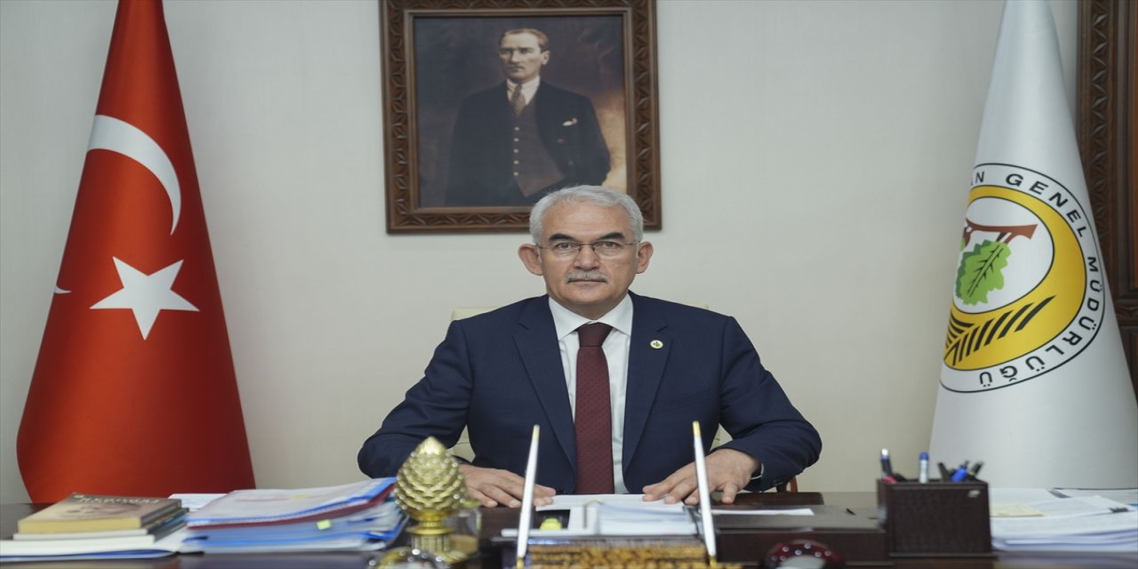 Türkiye, 20-25 Ekim’de İstanbul Orman İnovasyon Haftası’na ev sahipliği yapacak