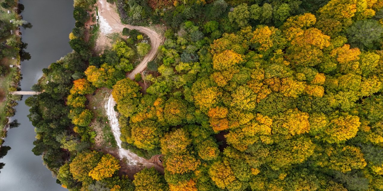 Domaniç Dağları sonbaharda sarı, yeşil ve kahverenginin tonlarıyla görsel şölen sunarak doğaseverleri büyülüyor
