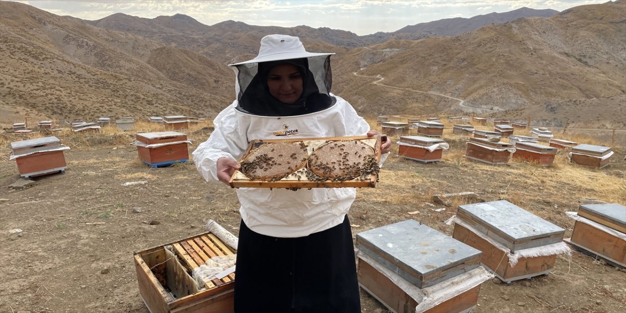 Bitlisli kadın arıcı Sunay Tokuş, 30 kovandan 4 ton bala ulaştı