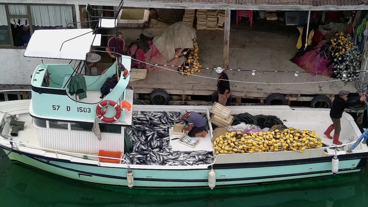 Sinop'ta küçük teknesiyle denize açılan balıkçı bol miktarda palamut avladı