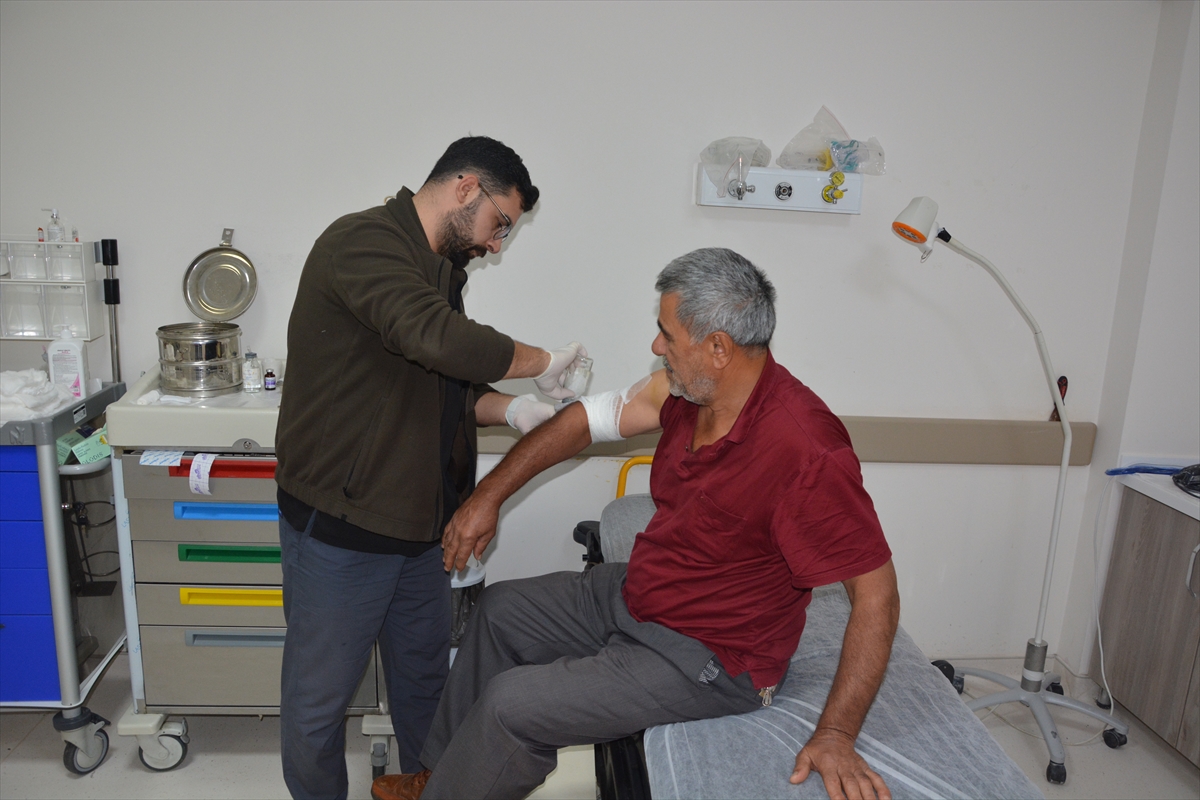 Kastamonu'da ayıdan kaçarken düşen çiftçi yaralandı