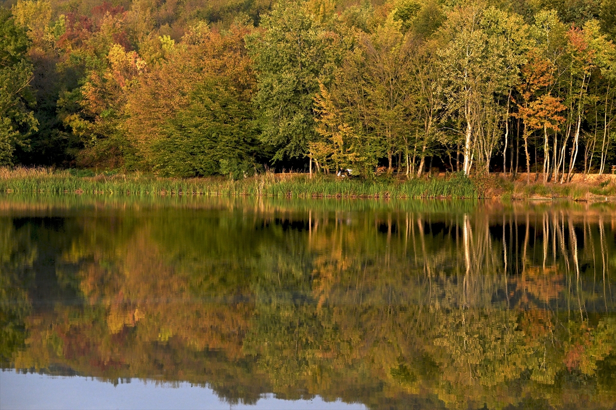 Düzce'deki Korugöl Tabiat Parkı ziyaretçilerini sonbahar manzarasıyla ağırlıyor