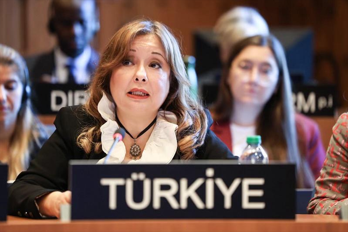 Büyükelçi Aybet, İsrail'in BM kararıyla kurulan UNRWA'yı yasaklamaya hakkı olmadığını belirtti