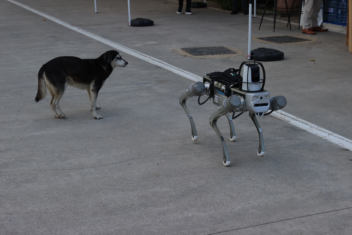 Milli robot köpek 2026 başında göreve hazır olacak