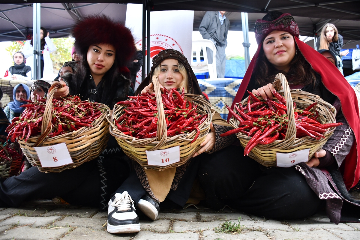 Bilecik'te 4'üncü Çukurören Biberi Festivali yapıldı