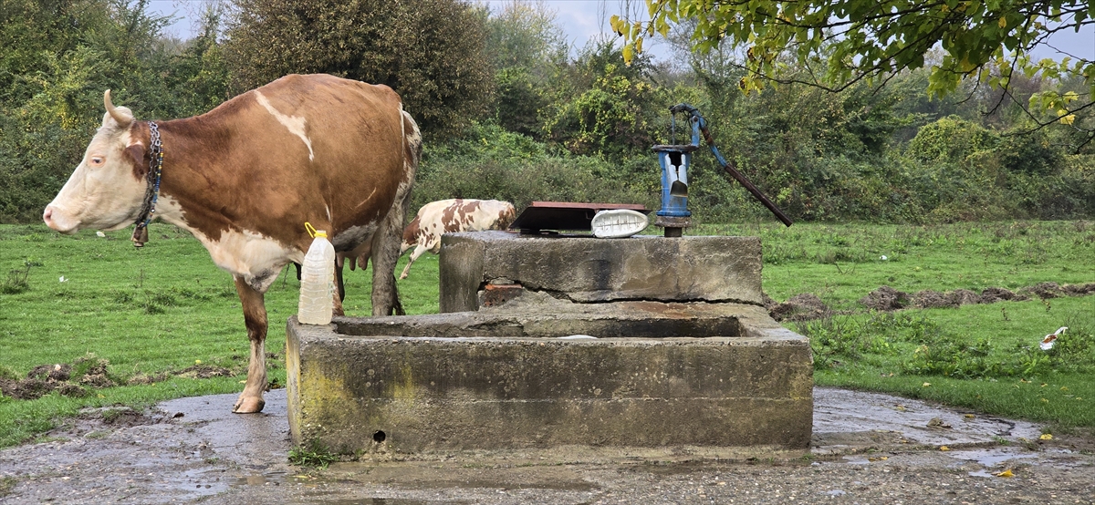 Zonguldak'ta su kuyusunda ceset bulundu