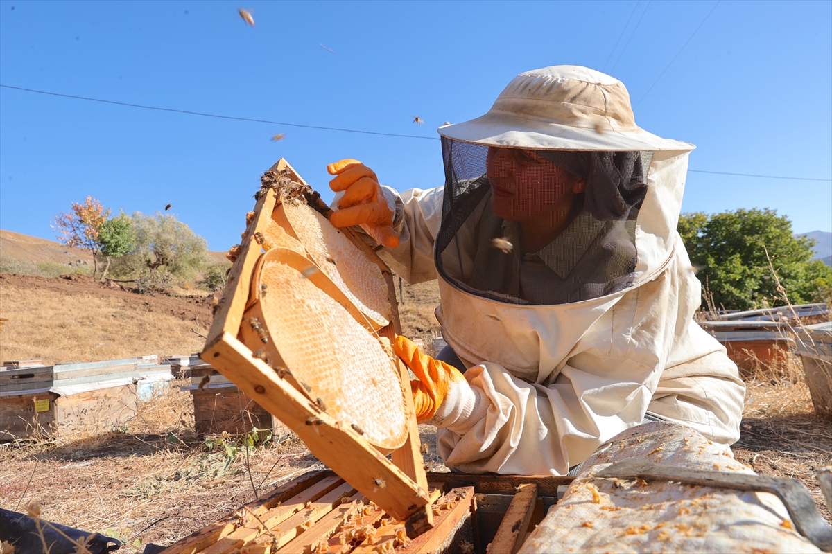 Üretim için şehirden köyüne dönerek arıcılığa başladı