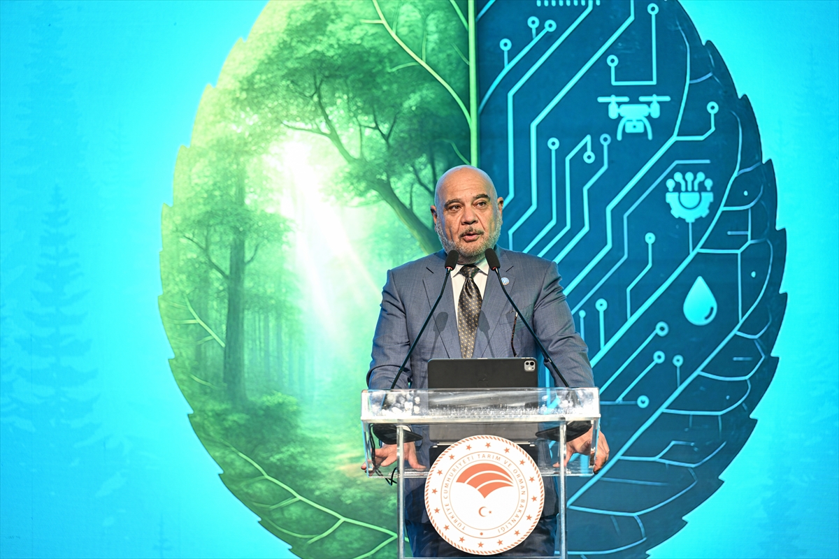 Türkiye, dünyada orman varlığını en çok artıran ülkeler arasında 6'ncı sırada