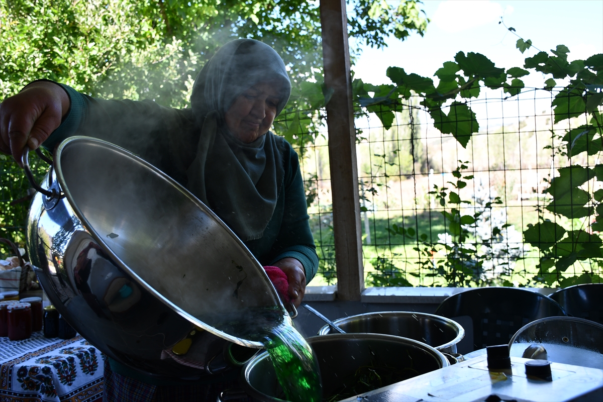 Bilecikli kadın girişimcinin bahçesindeki nanelerden yaptığı pekmez nefesleri açıyor