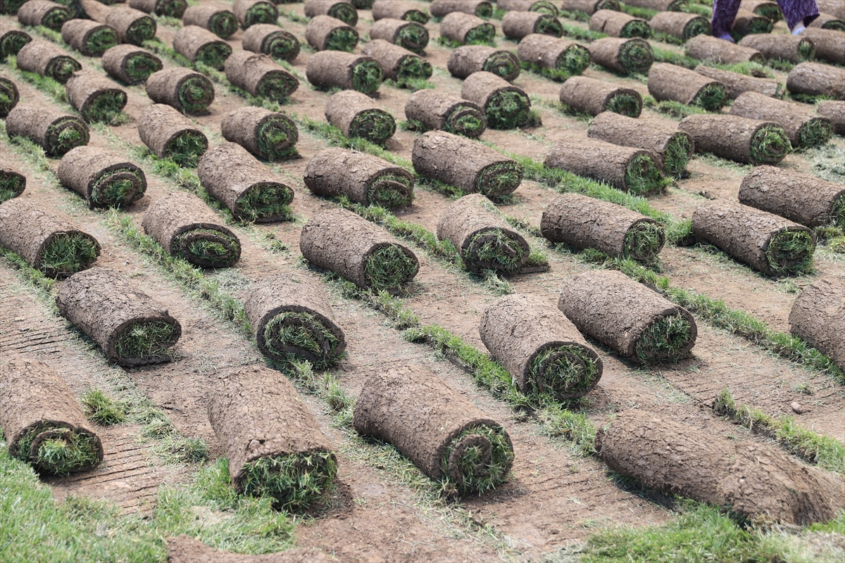 Edirne’de köyden kente göçü tersine çeviren tesis üretim ve ihracatta büyüdü