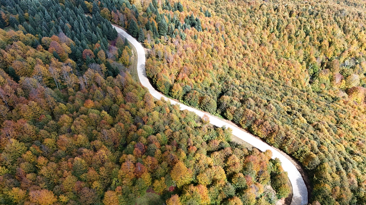 Ordu'da sonbaharın renkleri havadan görüntülendi