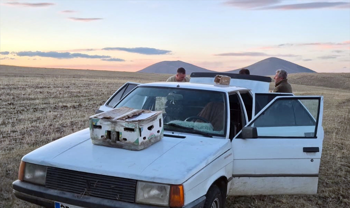 Kars'ta kızıl şahin avlayan 2 kişiye 661 bin 682 lira ceza