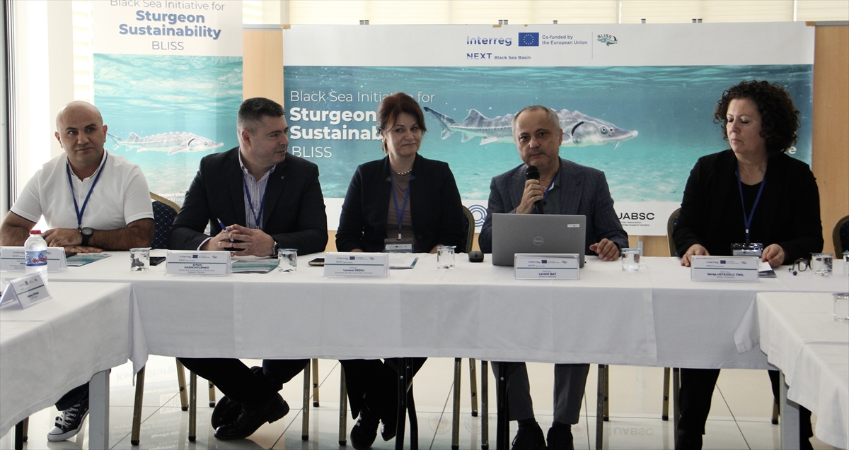 "Karadeniz'in biyolojik hazinesi" mersin balığının korunması için 4 ülke arasında işbirliğine gidildi