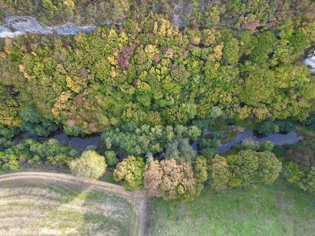 Tekirdağ'daki Kanara Kanyonu sonbahar renkleri arasında doğa tutkunlarını ağırlamayı bekliyor