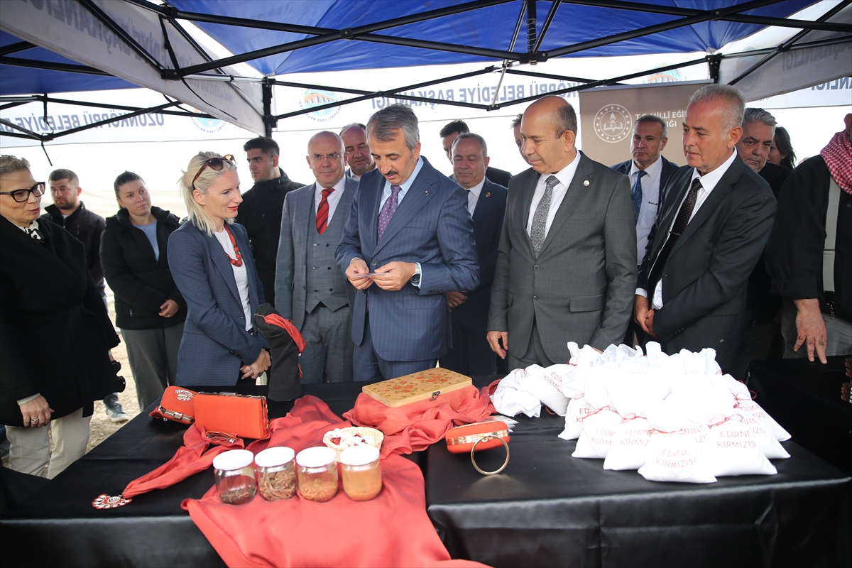 "Efsane renk" Edirne kırmızısının elde edildiği kök boya bitkisinin hasadına başlandı