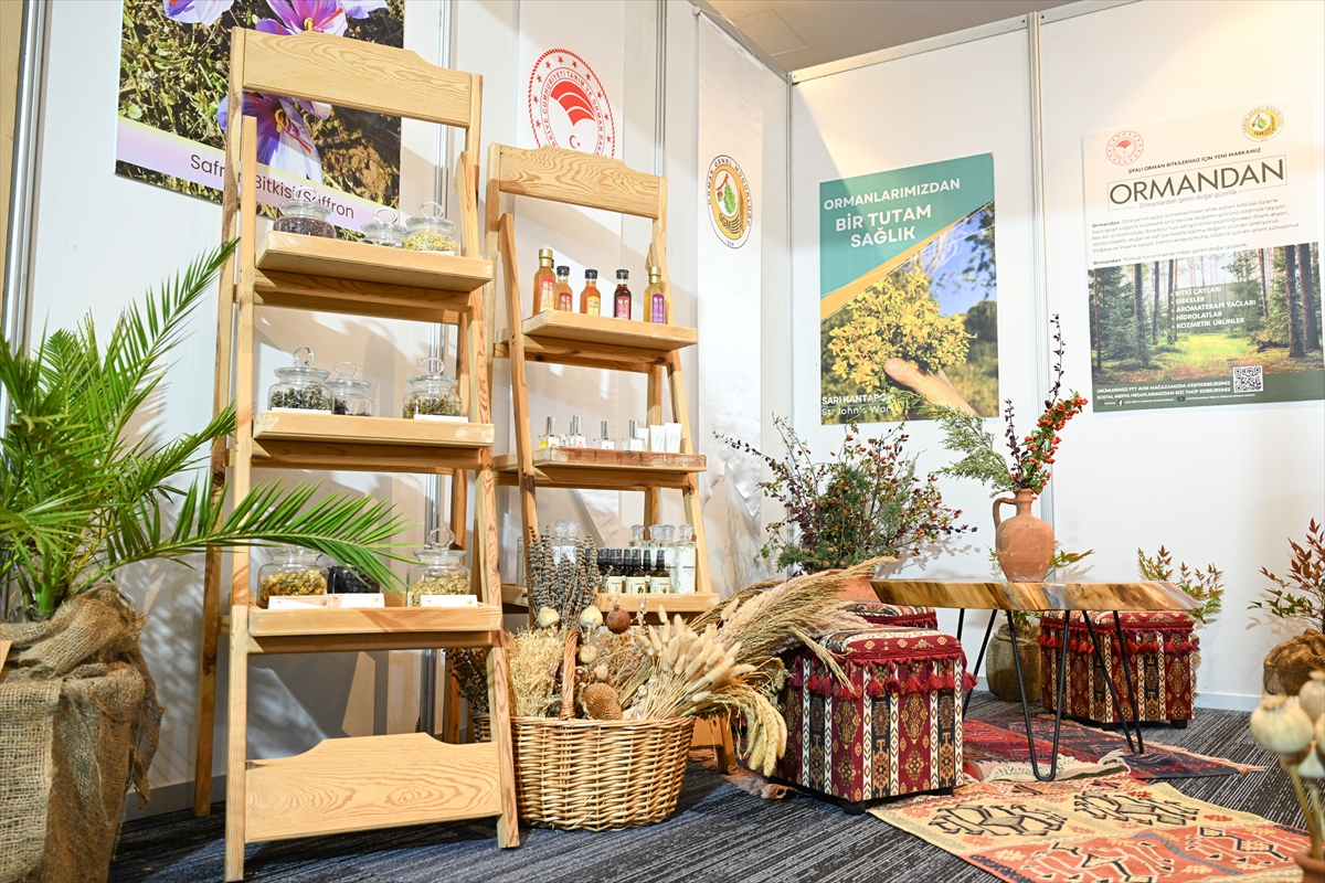 Türkiye, Avrupa'ya eş değer flora zenginliğine sahip