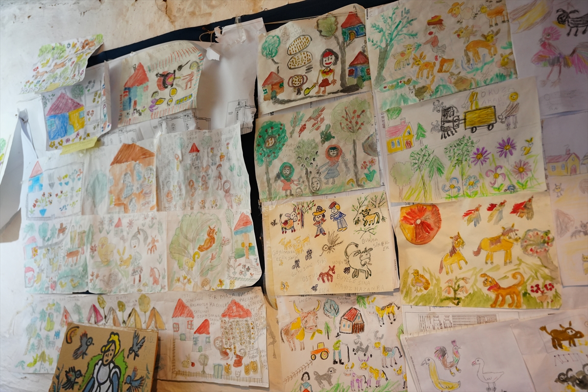 Renkli boyaları elinden düşürmeyen Hakime teyze evini resim galerisine dönüştürdü