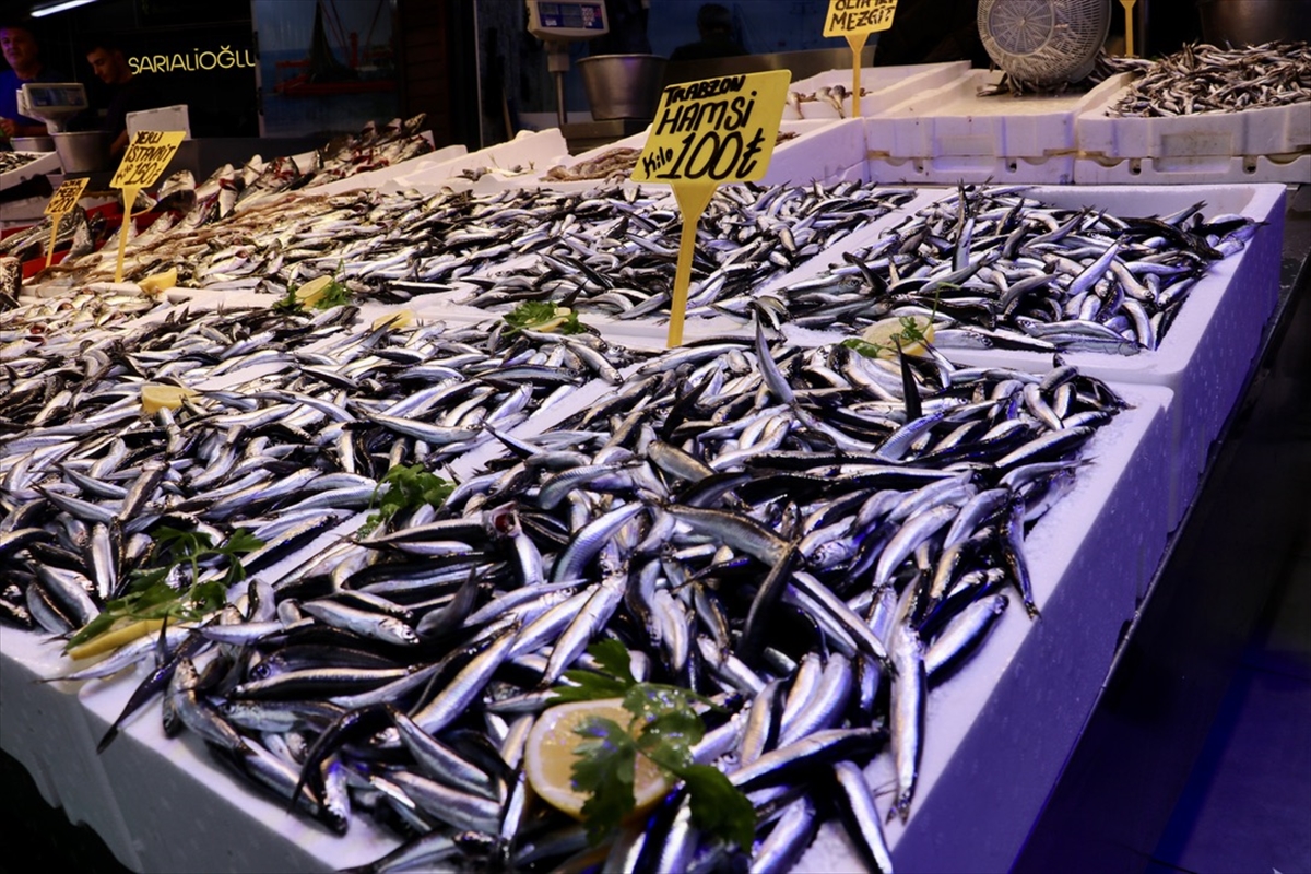 Trabzon'da hamsinin kilogramı 100 liradan satıldı